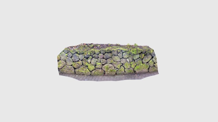 Iceland Mossy Wall 3D Model