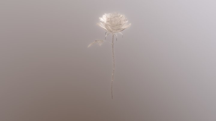 Rose -White- 3D Model