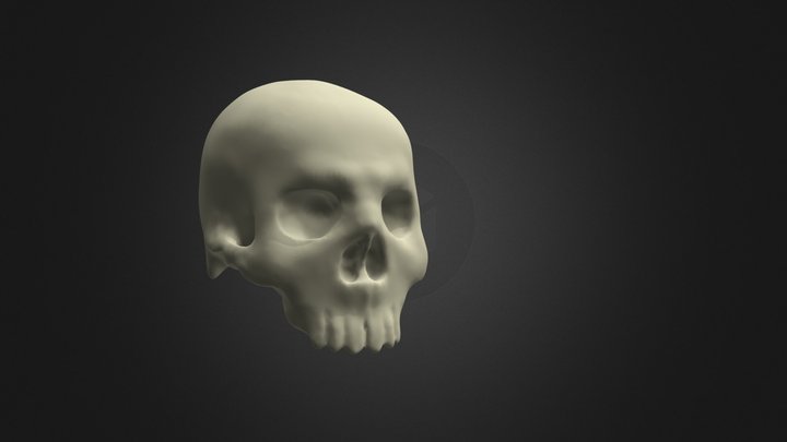 Skull Cartoon 3D Model