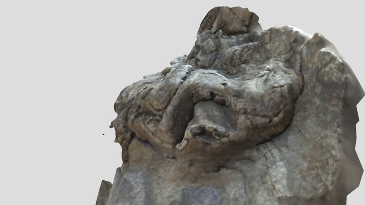 CARIÑO REFOLDED FOLD 3D Model