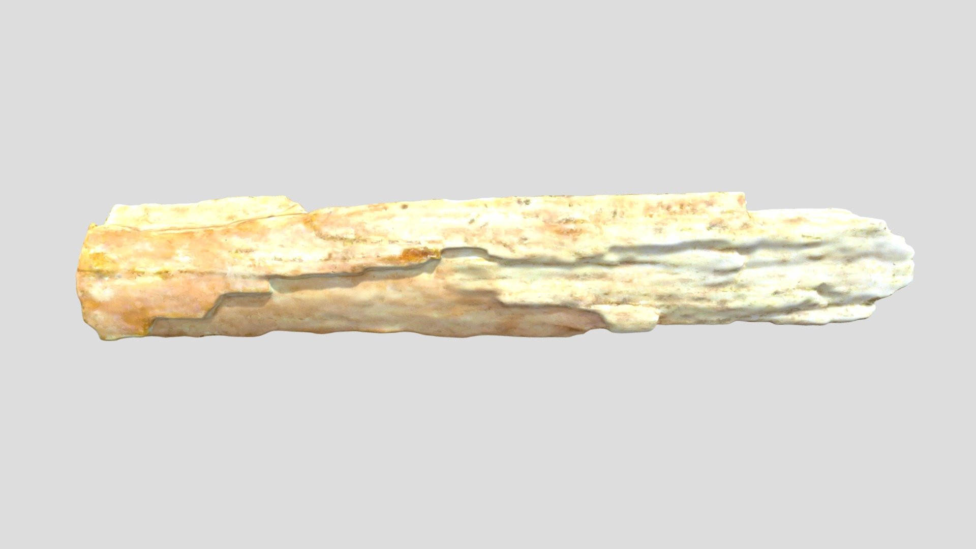Mammoth Tusk Fragment (VCU_3D_5406) - Download Free 3D model by Virtual