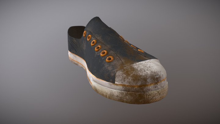 Dirty Shoe 3D Model