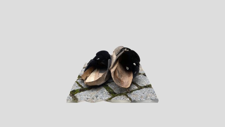 Old Shoes/Slippers/Clogs 3D Model