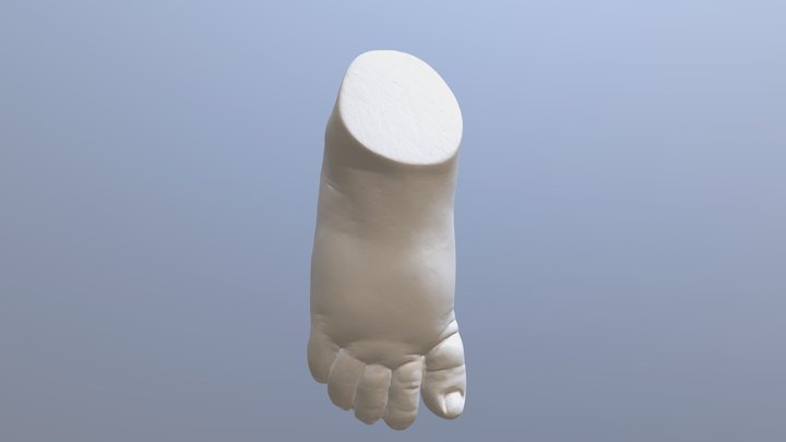 Baby Leg 3D Model