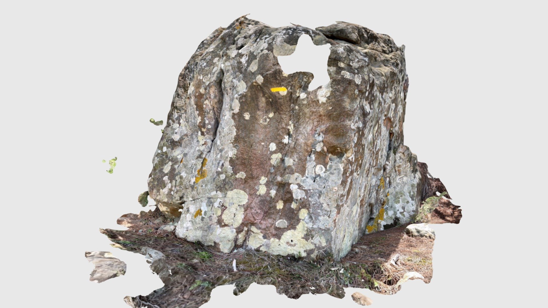 Affleurement sur le Chemin Bonvalot