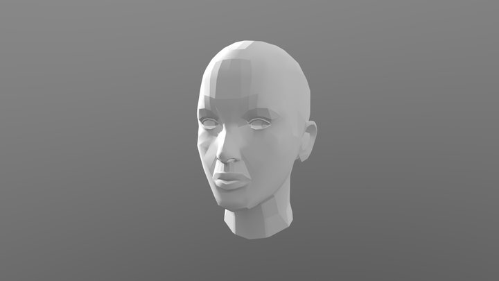 Human Head 3D Model