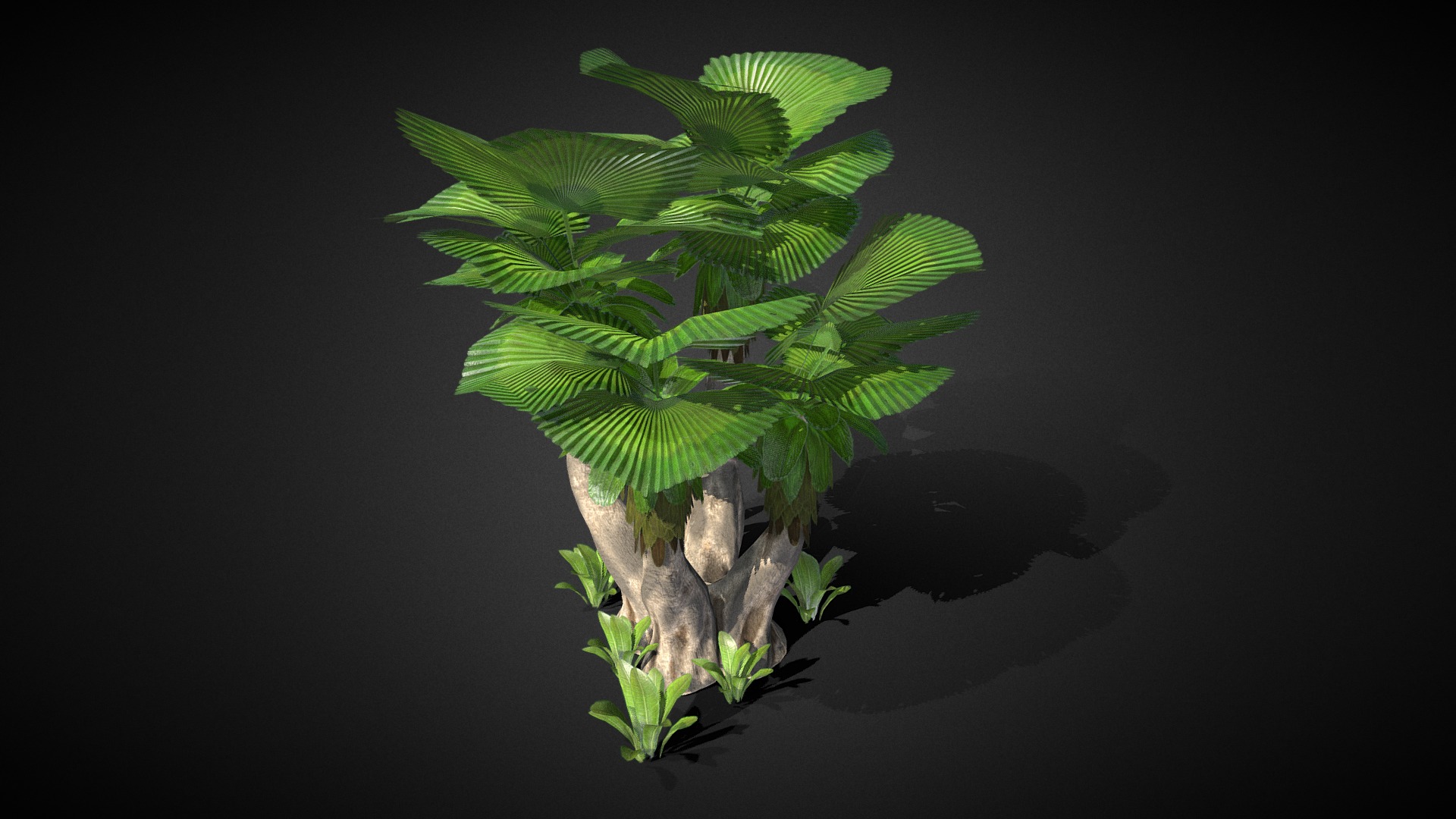 3D model Plant Alien Medium Size - This is a 3D model of the Plant Alien Medium Size. The 3D model is about a plant with leaves.