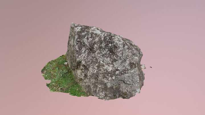 My cool 3D reconstruction 3D Model