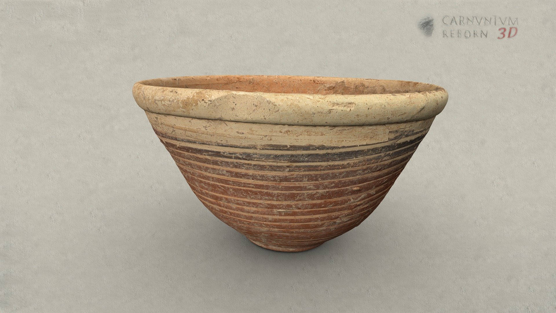 Schale — Sketchfab embed 3D viewer