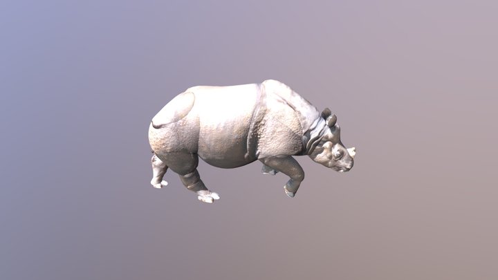 rhinoceros 3D Model