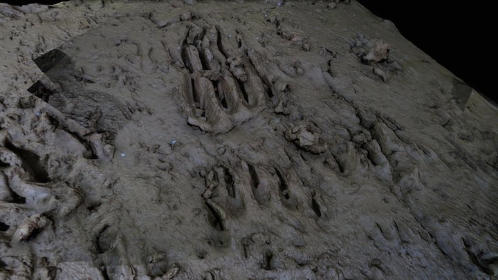 Cave 2017-24 Bear claw imprint 3D Model