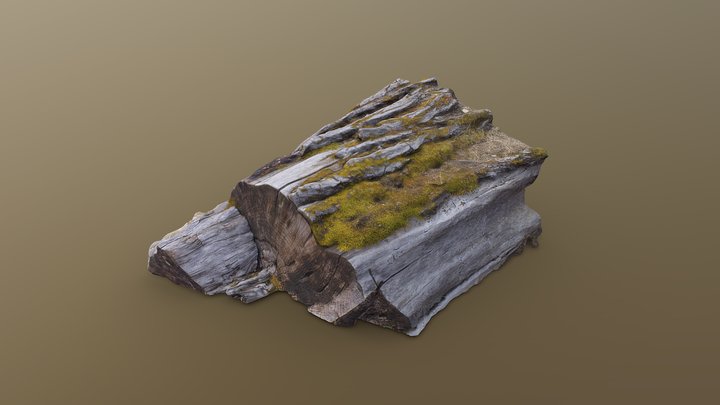 Fallen Log 3D Model