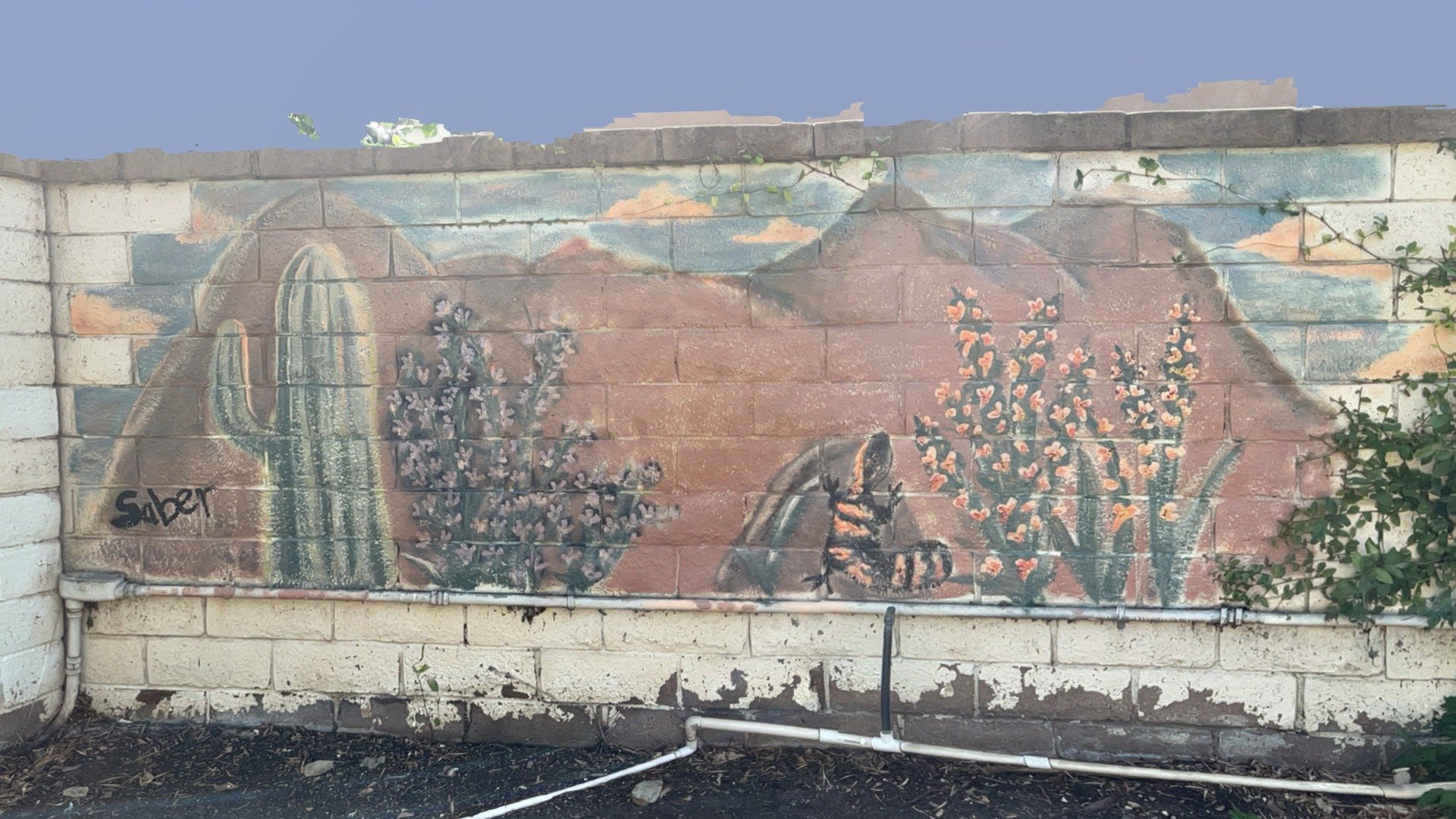 South Western Wall Mural by Saber - 8/15/2021