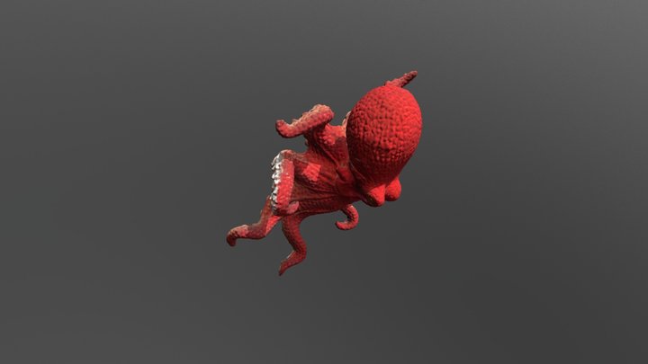 Octopus2 3D Model