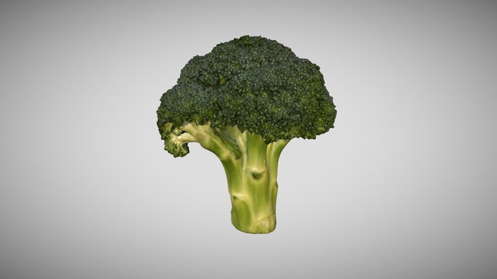 Broccoli Floret 2 3D Scan Photogrammetry 3D Model
