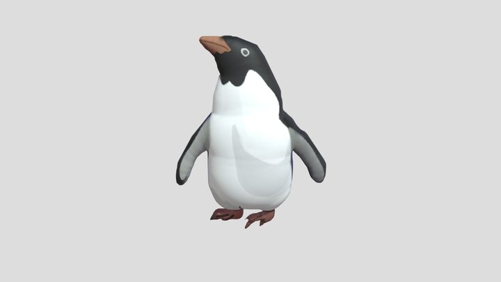 Penguin Adelie 𝘱𝘺𝘨𝘰𝘴𝘤𝘦𝘭𝘪𝘴 𝘢𝘥𝘦𝘭𝘪𝘢 3D Model