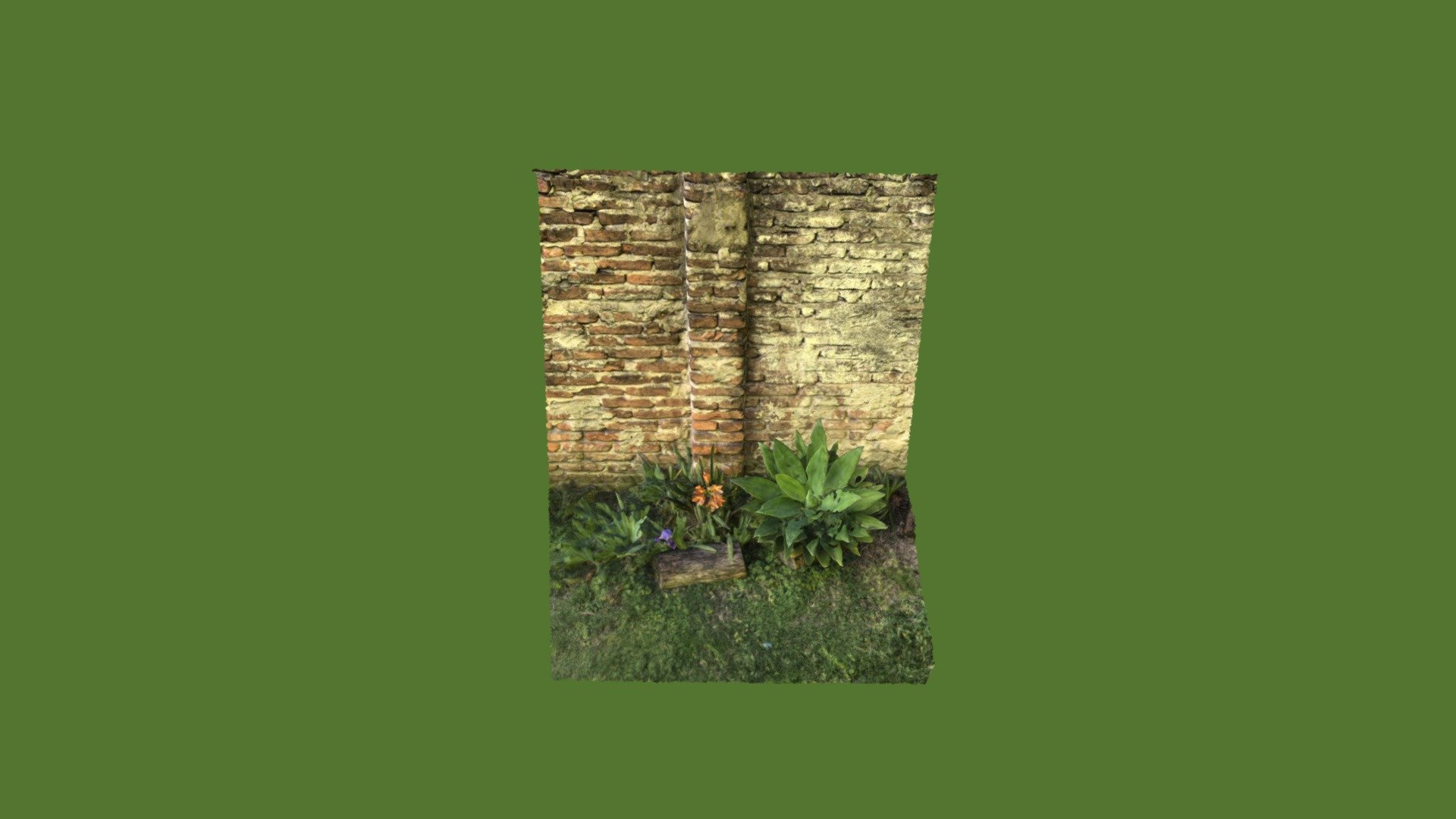 Mimagnífico reconstrucción 3D