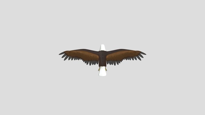Eagle 3D Model