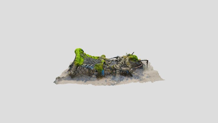 Beached crab trap 3D Model
