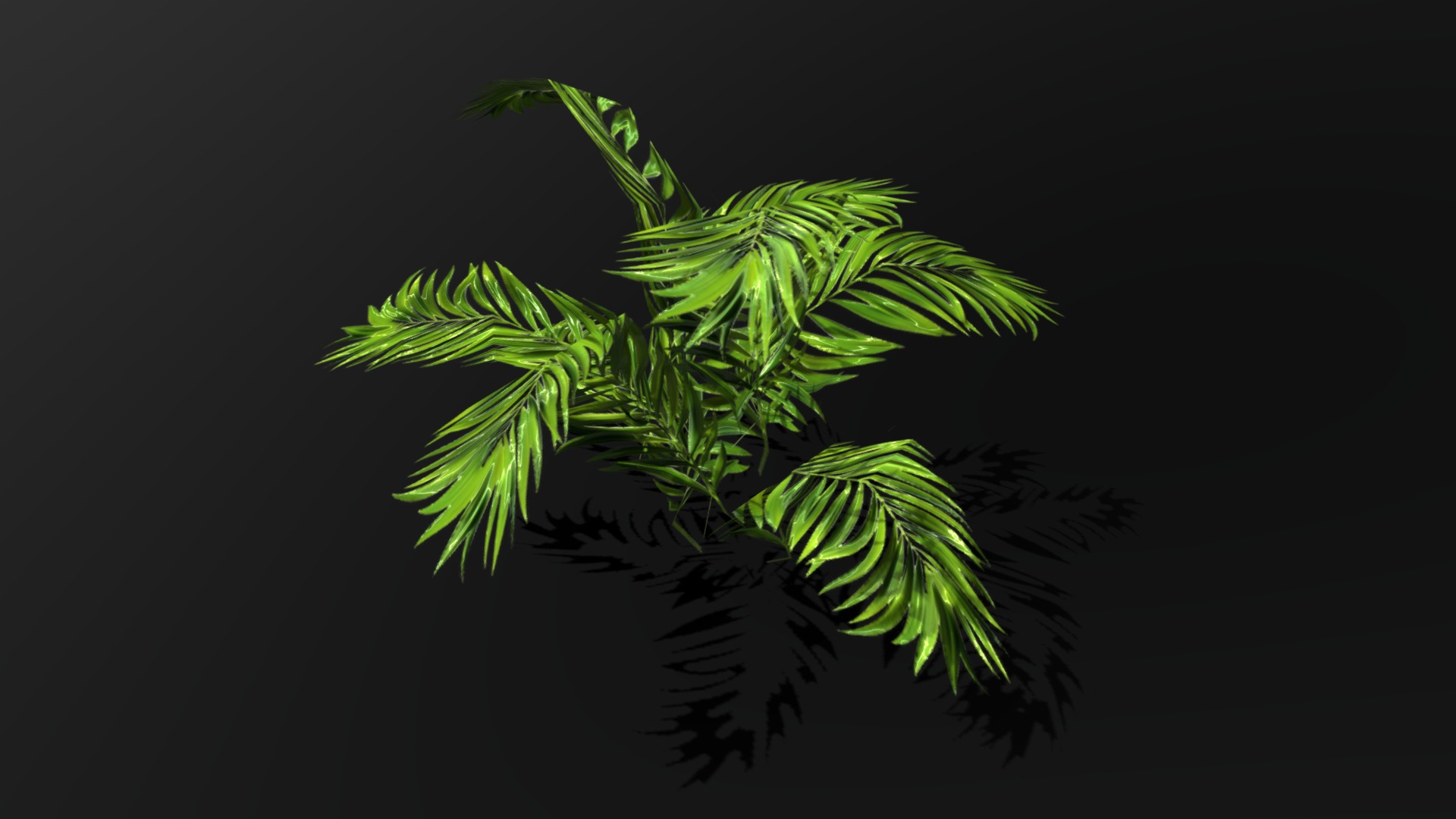3D model Tropical plant - This is a 3D model of the Tropical plant. The 3D model is about a close-up of some marijuana.