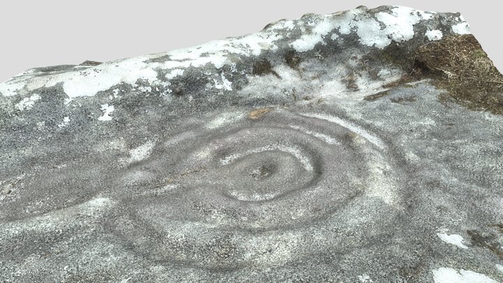 Rock Art in Northumberland Cheviots 3D Model