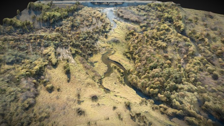 Wetland, forest, grass, shoal and river – Gratis 3D-model STL