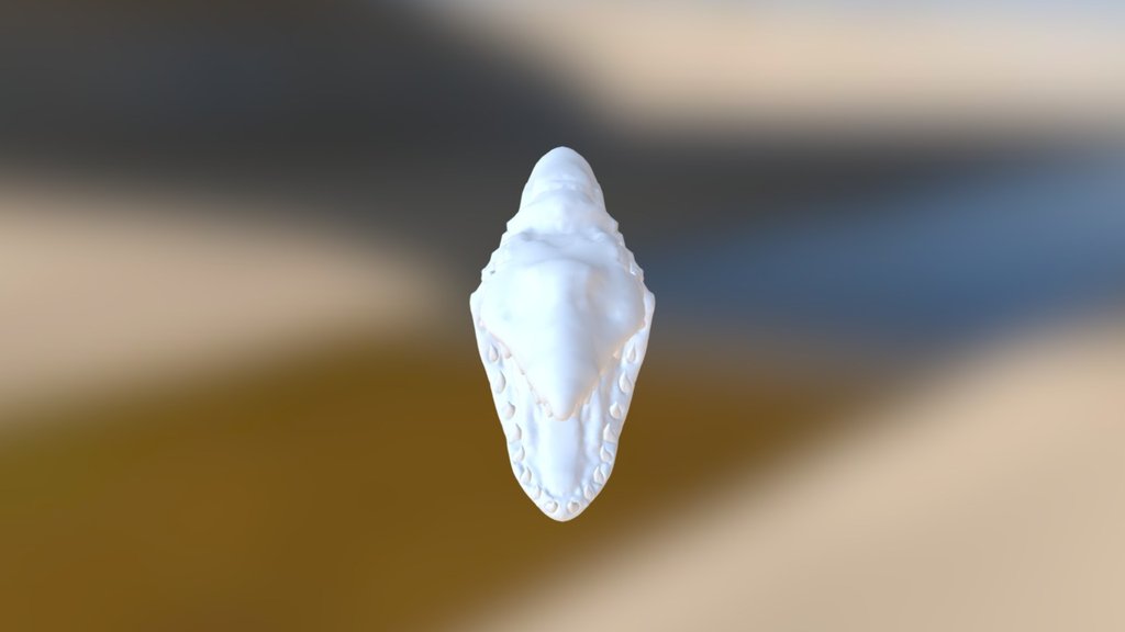MonsterHead