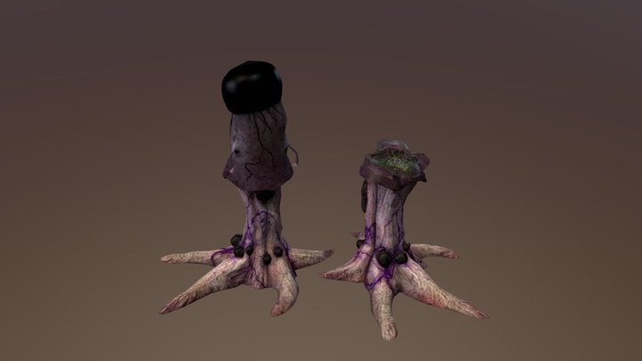 Alien Polyp (Old, Intact + Broken) 3D Model