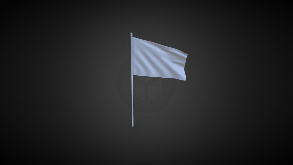 flag in the wind