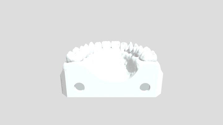 Frassaco_ 3D Model
