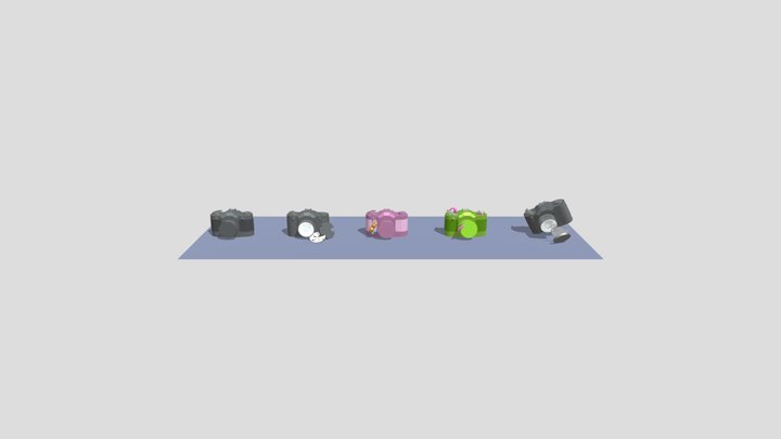 Camera 3D Model