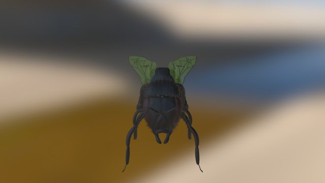 Bee 3D Model