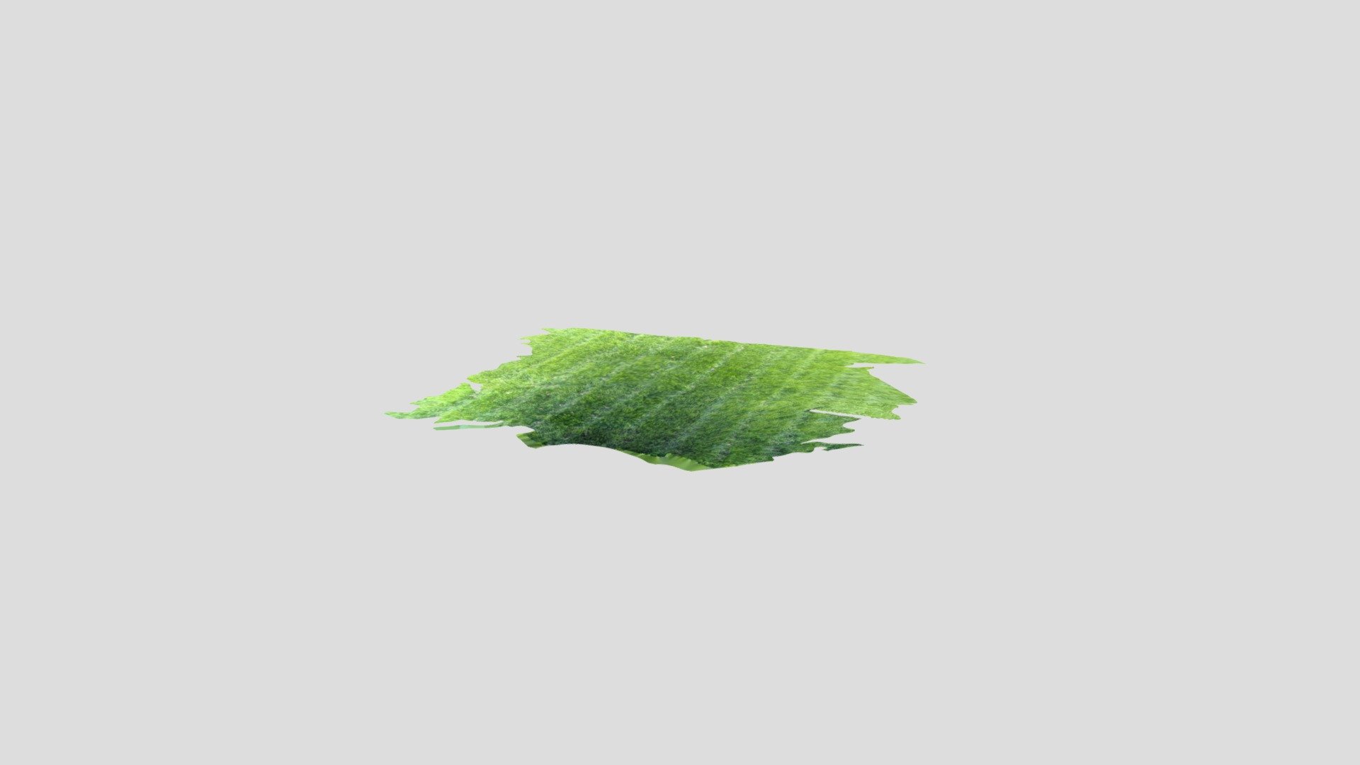 Tall Grass-poly