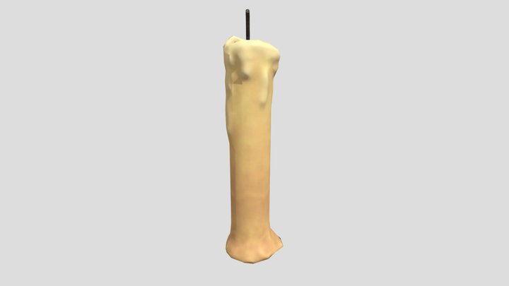 SM_Candle 3D Model