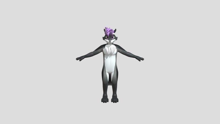 Raccoon VR 3D Model