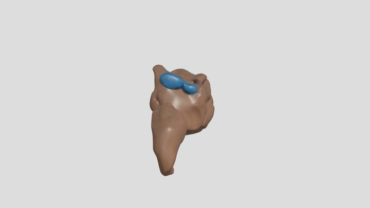 wooly – Modello 3D gratuito STL