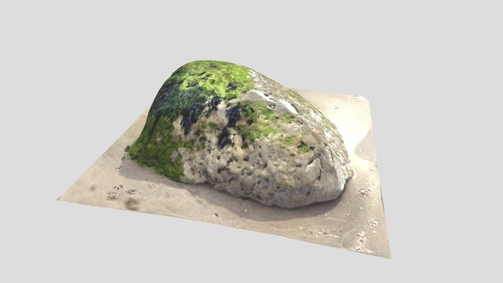 Beach Rock 4 3D Model