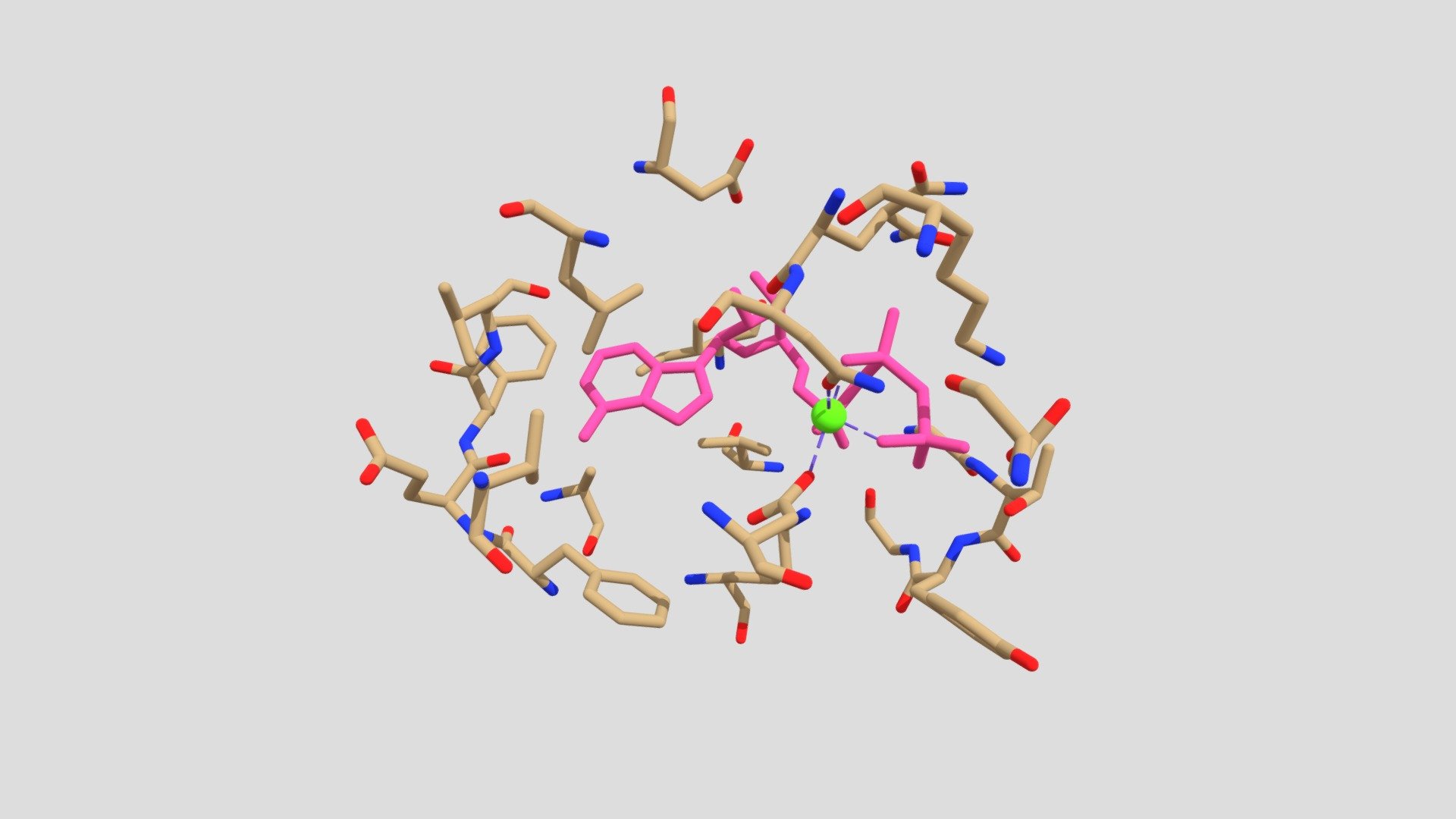 Ligand - 3D model by safchimera [5654e31] - Sketchfab