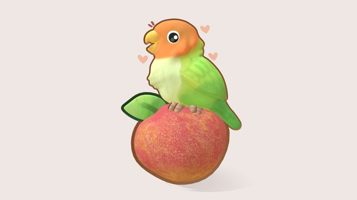 Peach-faced Lovebird 3D Model
