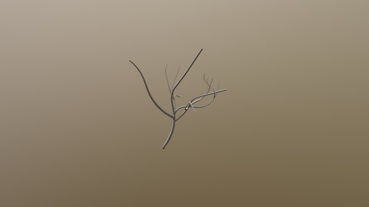 Tree 3D Model