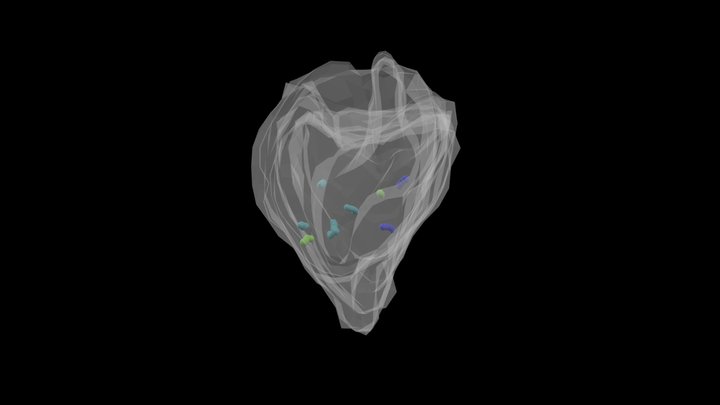 Parent Polyp #7 Caryophyllia huinayensis – Kostenloses 3D-Modell STL