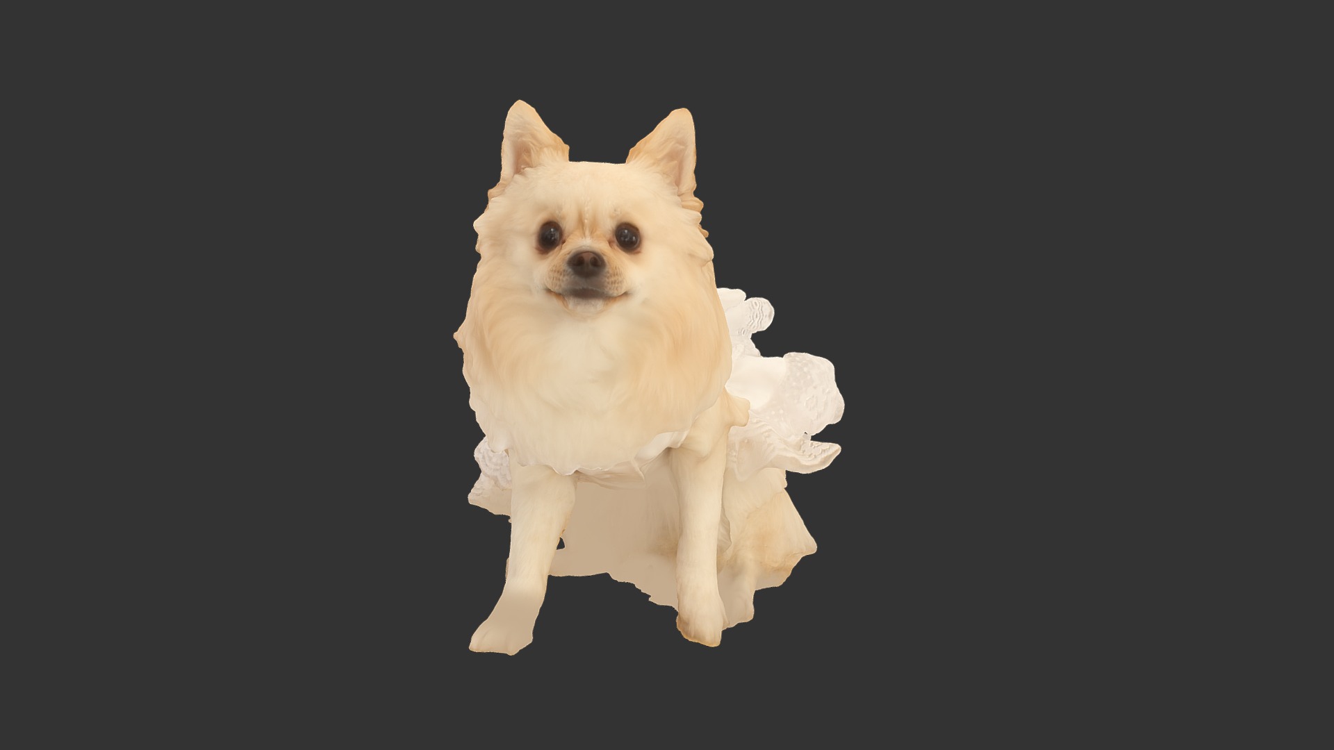 3D model Dressed Puppy - This is a 3D model of the Dressed Puppy. The 3D model is about a dog with a white tail.
