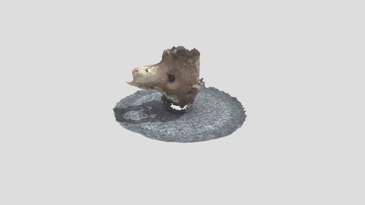 ocarina – Free 3D Model STL