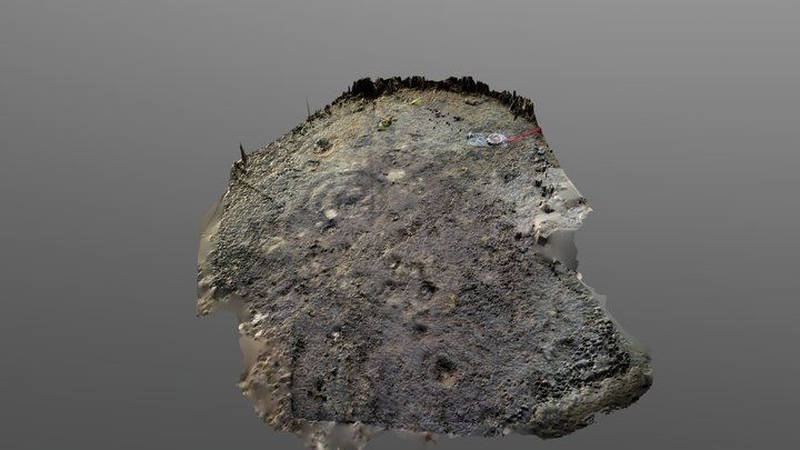 Queens Wood, Loch Tay, Perthshire – Modello 3D gratuito STL