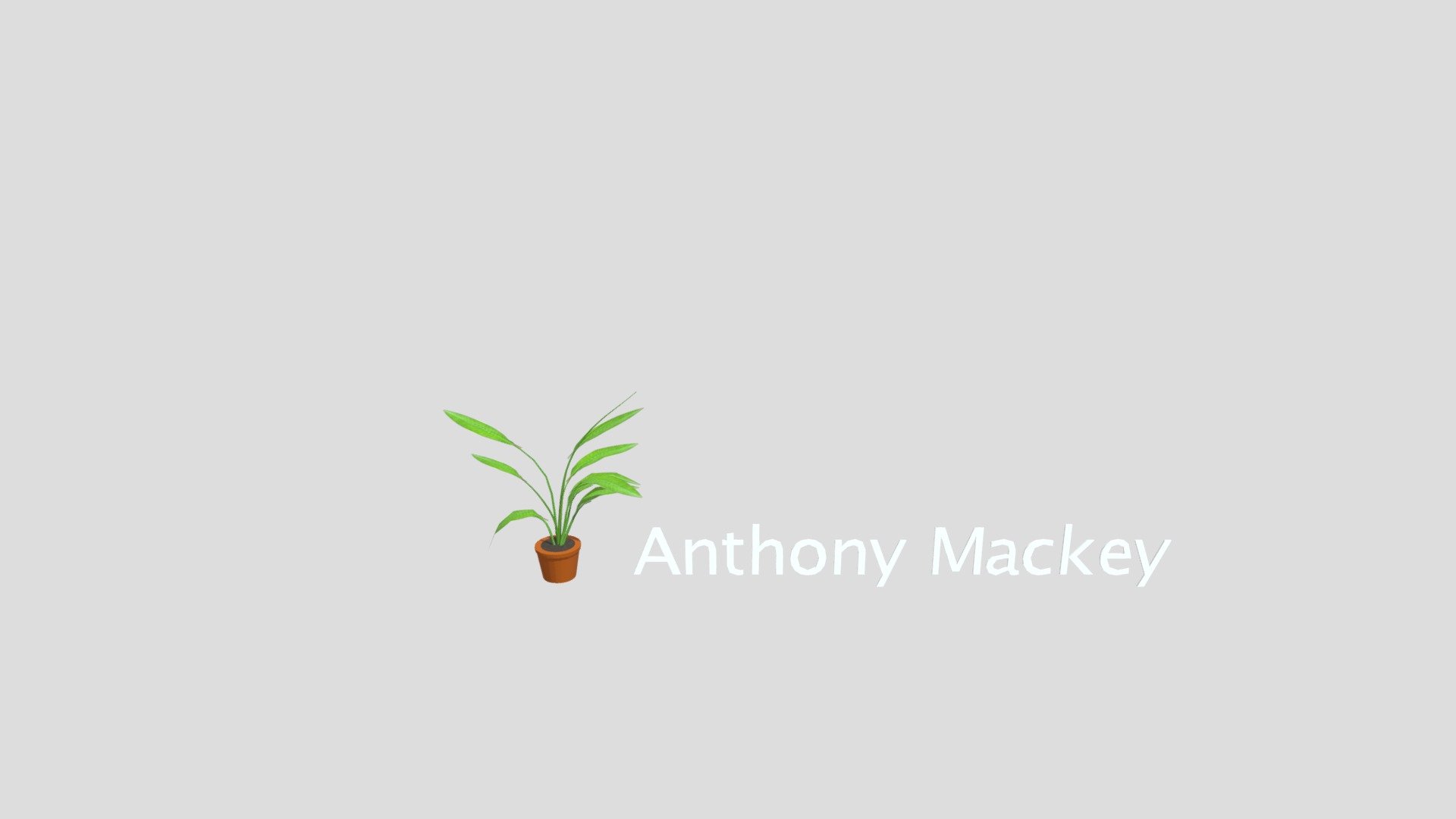 Office Plant model