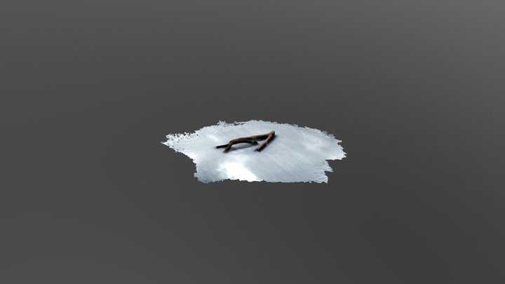 branches 3D Model