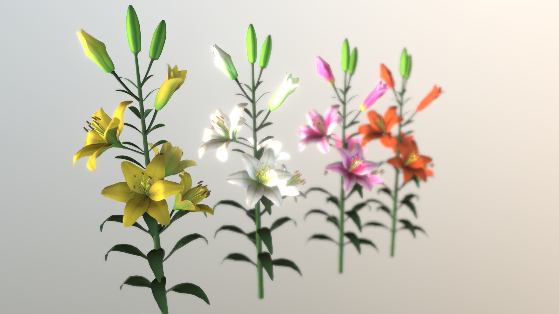 3D model Flower Li Li - This is a 3D model of the Flower Li Li. The 3D model is about a group of flowers.