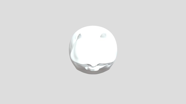 My model 3D Model