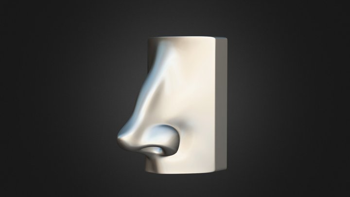 Nose Model 2 3D Model