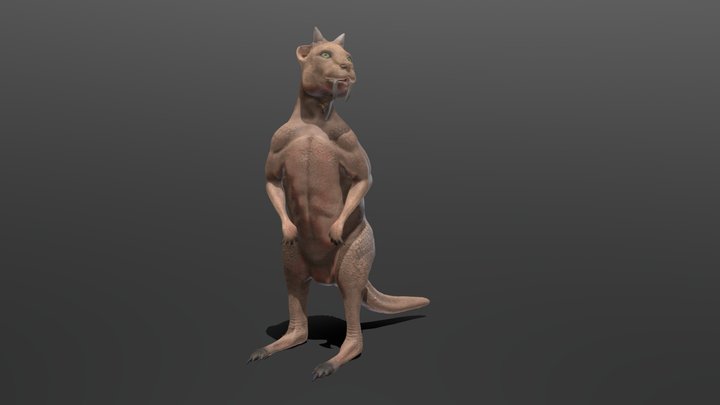 Kangaroo as carnivore 3D Model